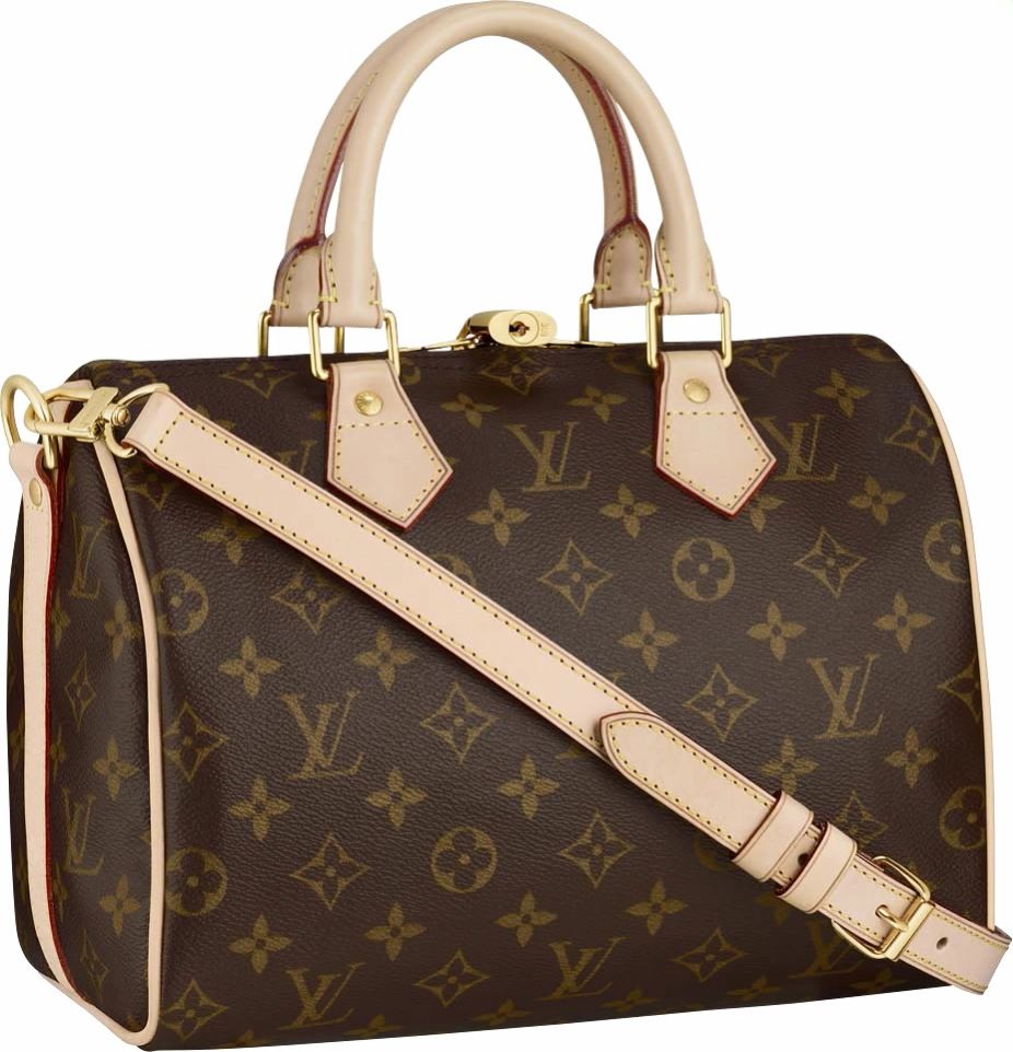 Как выбрать сумку Louis Vuitton
