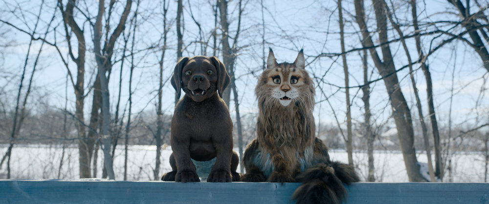«Кот и пес» 