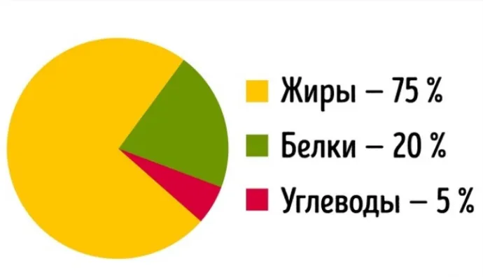 стриженова спорт