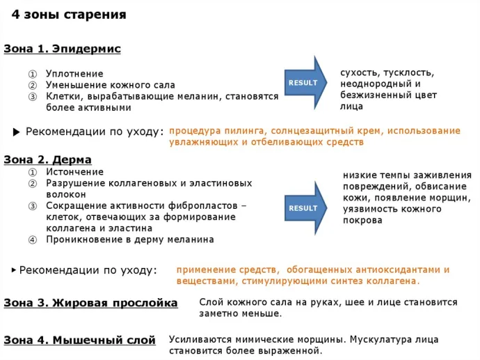 4 зоны старения