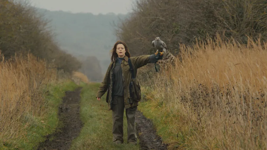 О фильме «Я - значит Ястреб»: актеры, создатели, отзывы