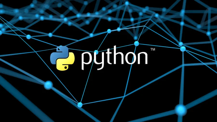 Обучение Python для начинающих с нуля: с чего начать изучение языка программирования