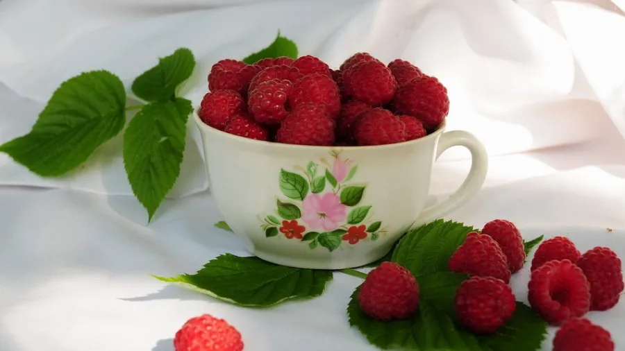 Вкуснейшие рецепты с малиной