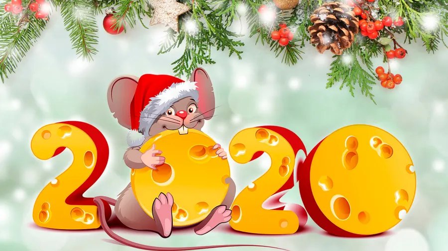 С Новым 2020 годом!