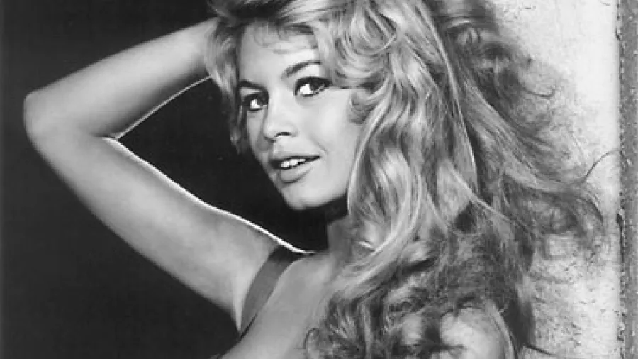 Появилась марка одежды  Brigitte Bardot 