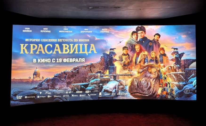 фильм Красавица